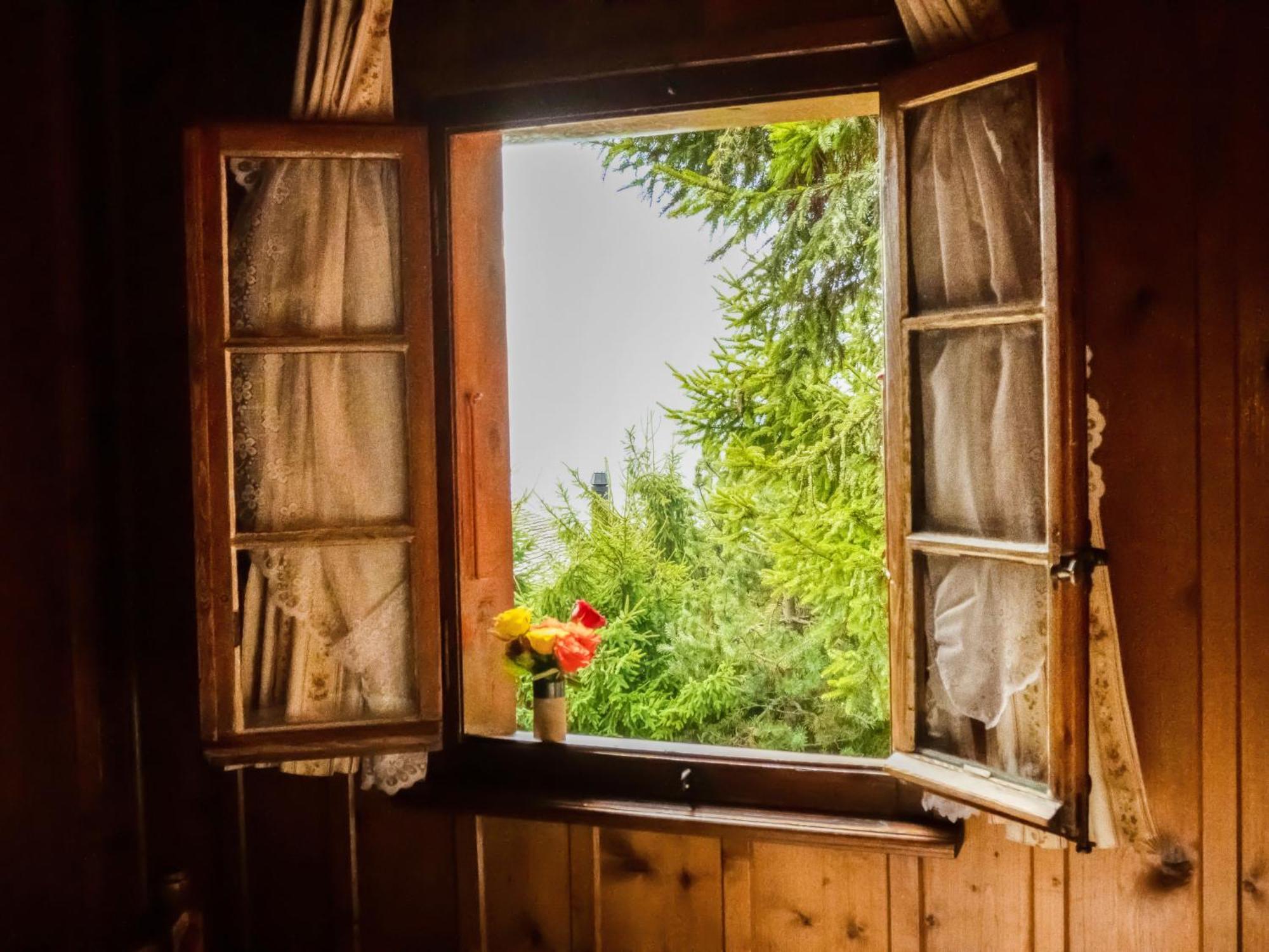 La Pive Chalet *